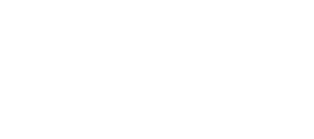 Luis Carlos Bravo | AURUM® Legacy Advisors
